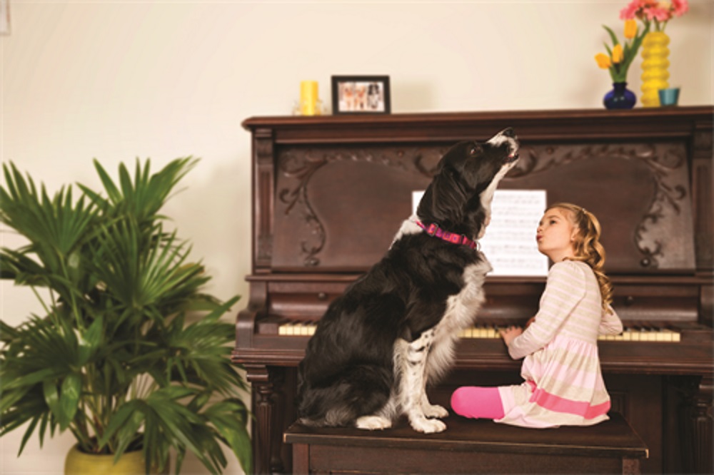 Hund und Mädchen am Klavier